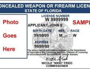 Concealed Weapon Firearm License