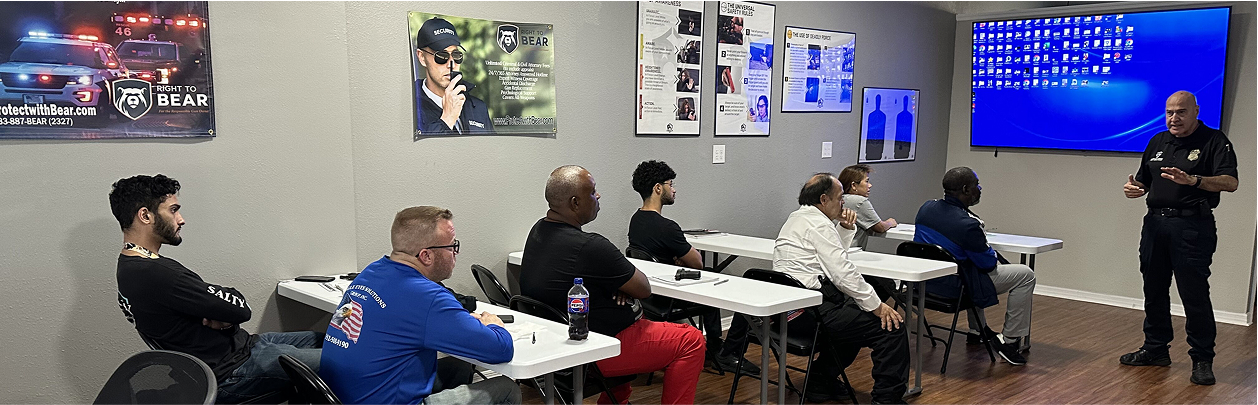 Experienced Instructors